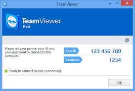 teamviewer download windows