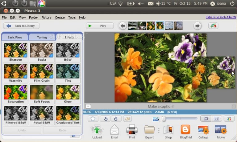 download picasa for windows 8.1