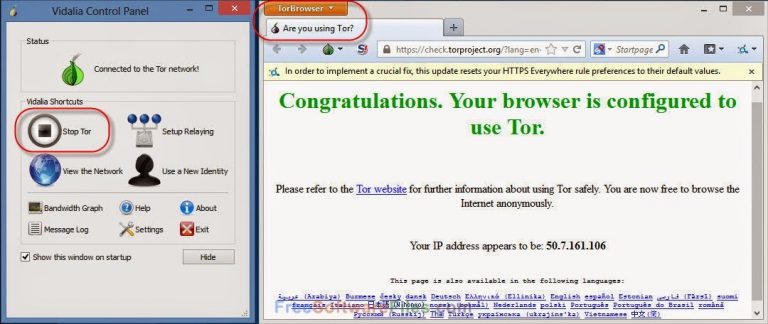 tor browser install program files
