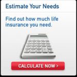 Quick Life Insurance Calculator