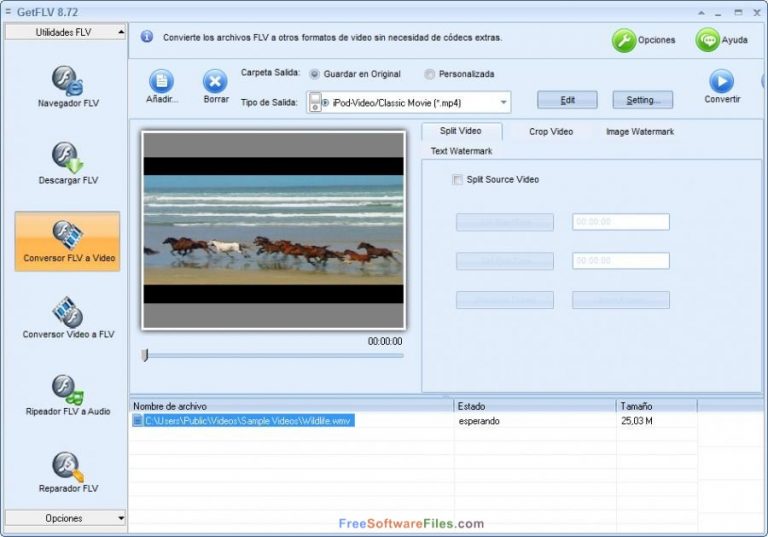 GetFLV Pro 30.2307.13.0 download the last version for iphone